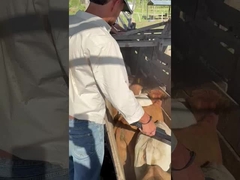 PT290 LF czytnik etykietek do uszu bydła czytnik RFID