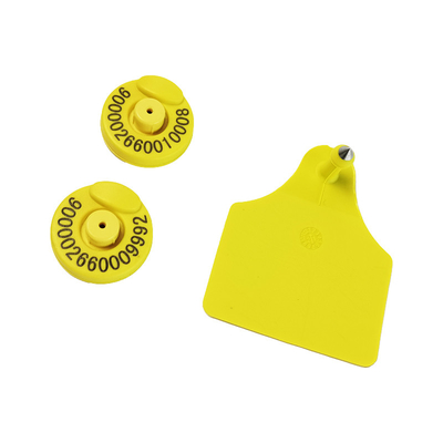 RFID Ear Tag Custom Cattle Ear Tags Uproszcz zarządzanie bydłem dzięki technologii śledzenia RFID