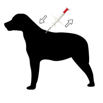 Wysokiej precyzji Mini Animal Microchip Syringe for Small Dogs and Cats ZS007