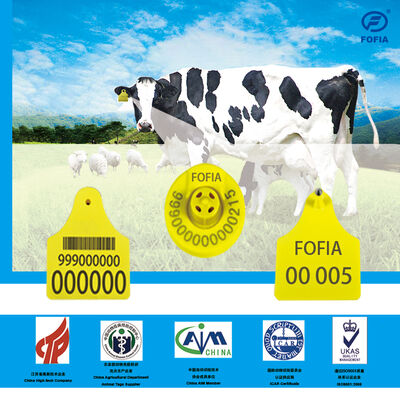 134.2KHZ Etykiety słuchowe Materiał TPU RFID Identyfikacja zwierząt Custom OEM Trwałe Bydło Owce Kozy Świnie Hodowla Hodowla