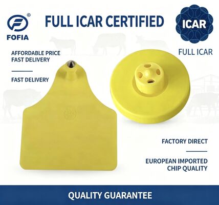 Pełny ICAR ET908 + T905 Wodoodporny RFID TPU Żółte kolczyki zwierzęce FDX-B 134,2 kHz EM4305 Chips Bydło