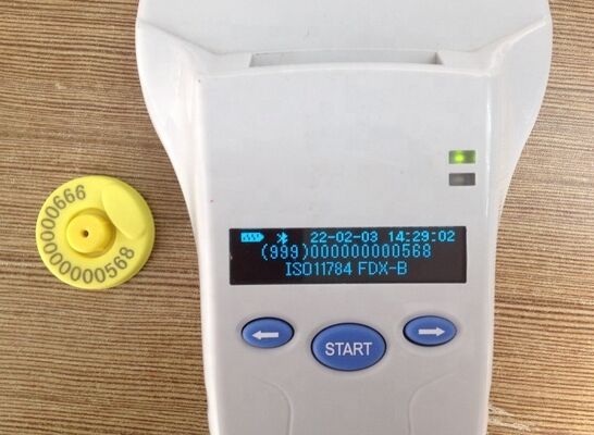 Wytrzymały czytnik RFID z ekranem OLED 128x32 USB do tworzyw sztucznych
