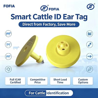 Full ICAR ET908+T901 wodoodporny RFID LF TPU Żółte etykiety uszu zwierzęce 14,5 mm EM4305 Chips 5 lat gwarancji