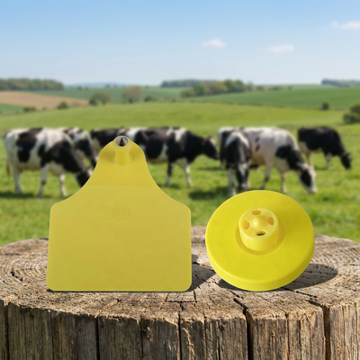 FULL ICAR Certified TPU RFID Access Card - 30mm Round ISO11784/5 Animal Ear Tag dla bezpiecznych systemów wejścia