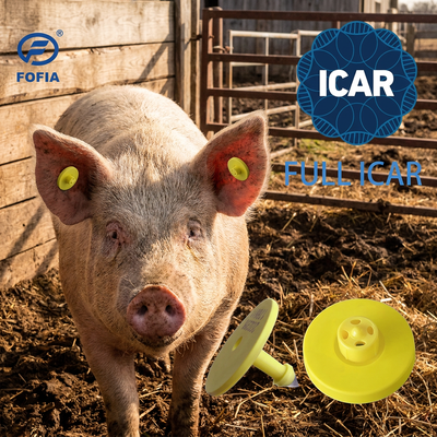 FULL ICAR ET908 okrągła oznaka ucha zwierzęcego z czytnikiem BLE ISO11784/5 FDX-B wodoodporna i trwała