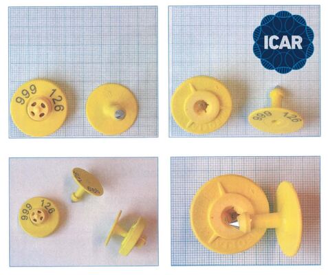 Wodaodporny RFID Ear Tag z zgodnością z ISO11784/5 i 5-letnią gwarancją na śledzenie zwierząt hodowlanych