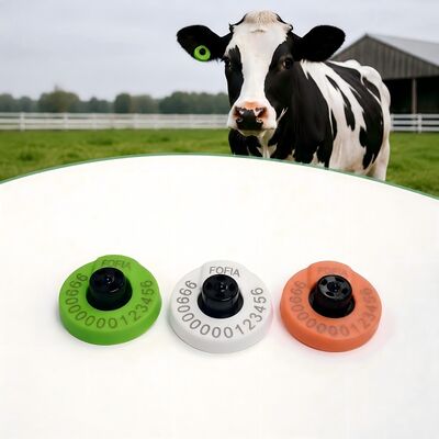 FOFIA Nowy pełny ICAR Trwały wodoodporny RFID TPU Żółte etykiety słuchowe LF ET908+T905 Farm Chips 5-letnia gwarancja bydło 14,5 mm
