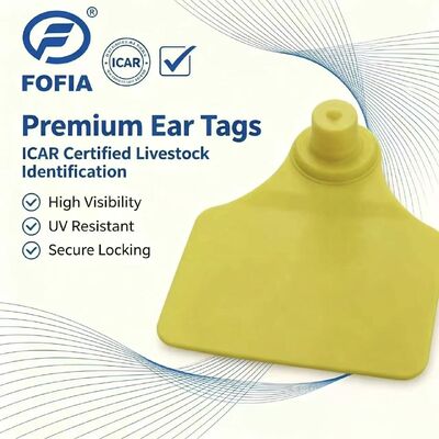 ICAR Fofia T904 Chip z oznakowaniem uszu zwierzęcym Nowa wysokiej jakości kodująca laserem RFID TPU 3 lata gwarancji