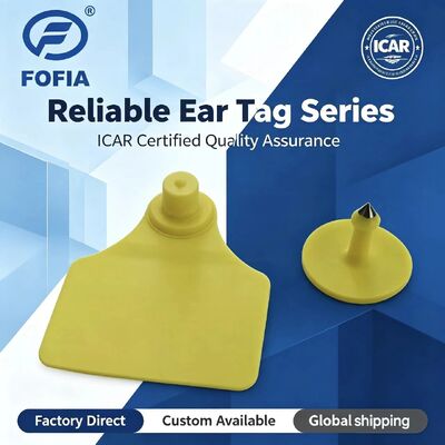 Wodoszczelny ICAR Fofia T904+T901 Animal Ear Tag Nowy wysokiej jakości RFID TPU 72*57mm Laserowe kodowanie 3 lata gwarancji do użytku w gospodarstwach rolnych