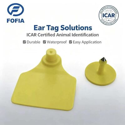 Wytrzymały wodoodporny ICAR Fofia T904 + T901 Zwierzęce oznakowanie uszu chip RFID TPU Kodujący laserem 3 lata gwarancji Śledzenie bydła