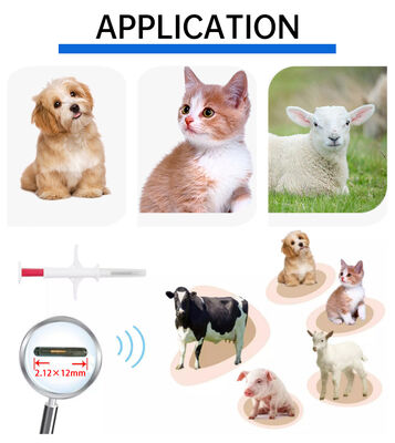 Wodoszczelny Fofia Nowy gorąco sprzedawany RFID 134.2kHz PP Materiał Dog ID Mikrochip Wodoszczelny Farm Use Pet Injection 1.5 Year Ear Tag