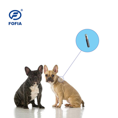 RFID Glass ISO Transponder Microchip Tag Pet Birds Strzykawka dla zwierząt