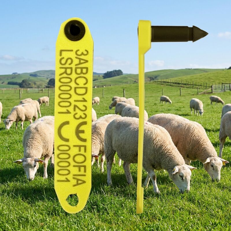 ICAR zatwierdził FDX-B HDX RFID Sheep Ear Tag ET969 do śledzenia bydła