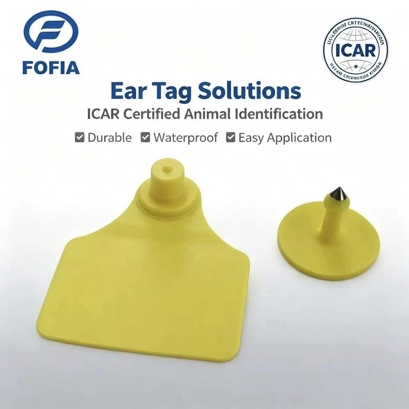 Wytrzymały wodoodporny ICAR Fofia T904 + T901 Zwierzęce oznakowanie uszu chip RFID TPU Kodujący laserem 3 lata gwarancji Śledzenie bydła