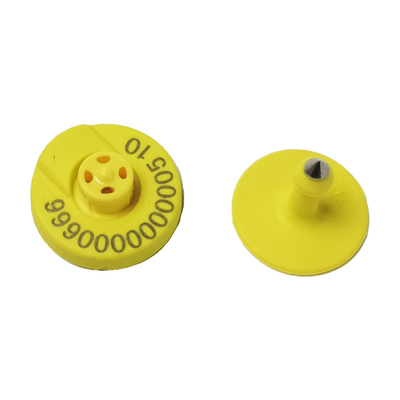 Zwiększenie efektywności z RFID Ear Tag